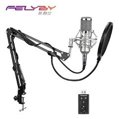 FELYBY Professional bm 800 Condenser Microphone for computer Audio Studio Vocal Recording Mic KTV Karaoke + Microphone stand