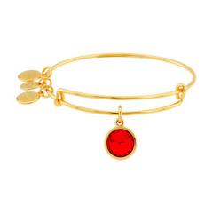 Alex And Ani January Birthstone Gold Expandable Bangle A09EB240G