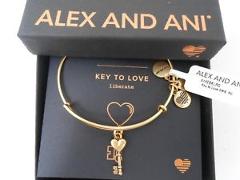Alex and Ani Key to Love Bangle Bracelet Rafaelian Gold New Tag Box Card