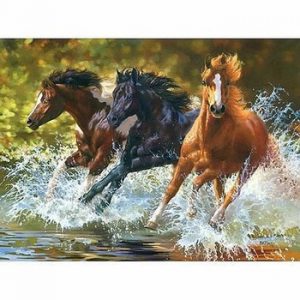 CHENISTORY Horse DIY Digital Oil Painting By Numbers Kits Coloring Painting By Numbers Unique Gift For Home Decoration 40x50cm