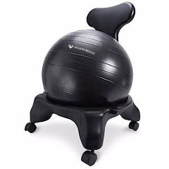 Balance Ball Chair with Back Support for Home and Office - Ergonomic Furniture