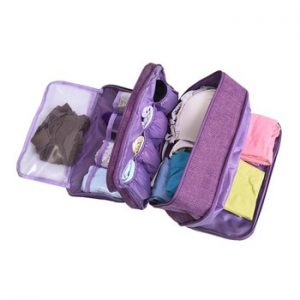 Portable Bra Underwear Storage Bag Waterproof Travel Socks Cosmetics Drawer Organizer Wardrobe Closet Clothes Pouch Accessories