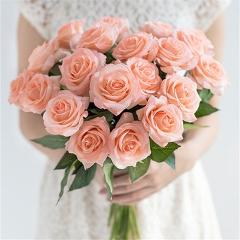Free Shipping(11pcs/Lot) Fresh rose Artificial Flowers Real Touch rose Flowers