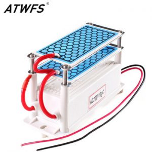 ATWFS Portable Ceramic Ozone Generator 220V/110V 10g Double Integrated Long Life Ceramic Plate Ozonizer Air Water Air Purifier