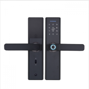 Tuya APP Remotely WIFI Door Lock  Biometric Fingerprint  Smart Lock