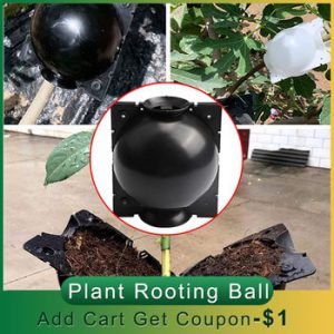 5pcs/10pcs Plant Rooting Ball Garden Plant Root Growing Box Grafting Rooting Growing Box Breeding Case