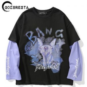 2020 Hip Hop Cotton Streetwear Men Sweatshirt Butterfly Three-eyed Cat Printing Harajuku Pullover Spring Autumn Sweatshirt Men