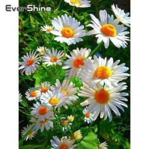 EverShine 5D Diamond Painting Full Drill Square Daisy Diamond Mosaic Paintings Flowers Diamond Embroidery Cross Stitch Kits