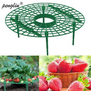 5/10/20 PCS Strawberry Stand Frame Holder Balcony Planting Rack Fruit Support Plant Flower Climbing Vine Pillar Gardening Stand