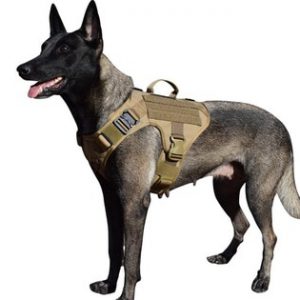 MXSLEUT Tactical Dog Harness with 2 Metal Buckle