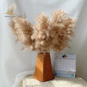 pampas grass decor plants home wedding decor dried flowers bunch feather flowers natural phragmites tall 20-22''  plastic vase