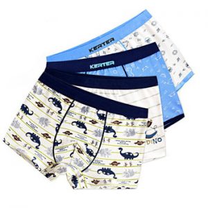 4 Pcs High Quality Children's Underwear for Kids Cartoon Cat Shorts Soft Cotton Underpants Boys Teenage Striped Panties 4-16T