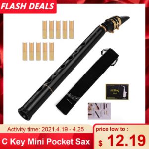 HiXing C Key Mini Pocket Saxophone Sax ABS Material with Mouthpieces 10pcs Reeds Carrying Bag Woodwind Instrument