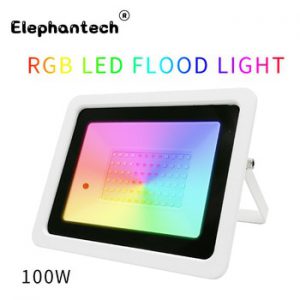 RGB LED Floodlight 20W 30W 50W100W Flood Light Outdoor 220V/110V RGB Reflector Projector Lamp With Color Remote Controller