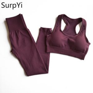 2 Pcs/Set Women New Seamless Yoga Sets Fitness Sports Suits Breathable Soft Gym Clothes Running Leggings Workout Set Vest+Pants