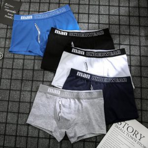 4pcs boxer mens underwear men cotton underpants male pure men panties shorts underwear boxer shorts  cotton solid cuecas 365