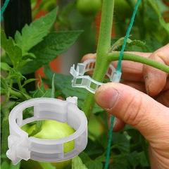 50PCS/Set Reusable Plastic Plant Support Clips Plants Hanging Vine Garden Greenhouse Vegetables Tomatoes Clip