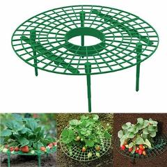 Plastic Strawberry Growing Support Stand Flower Pillar Plant Vegetable Climbing Vine Props for Gardening Accessories
